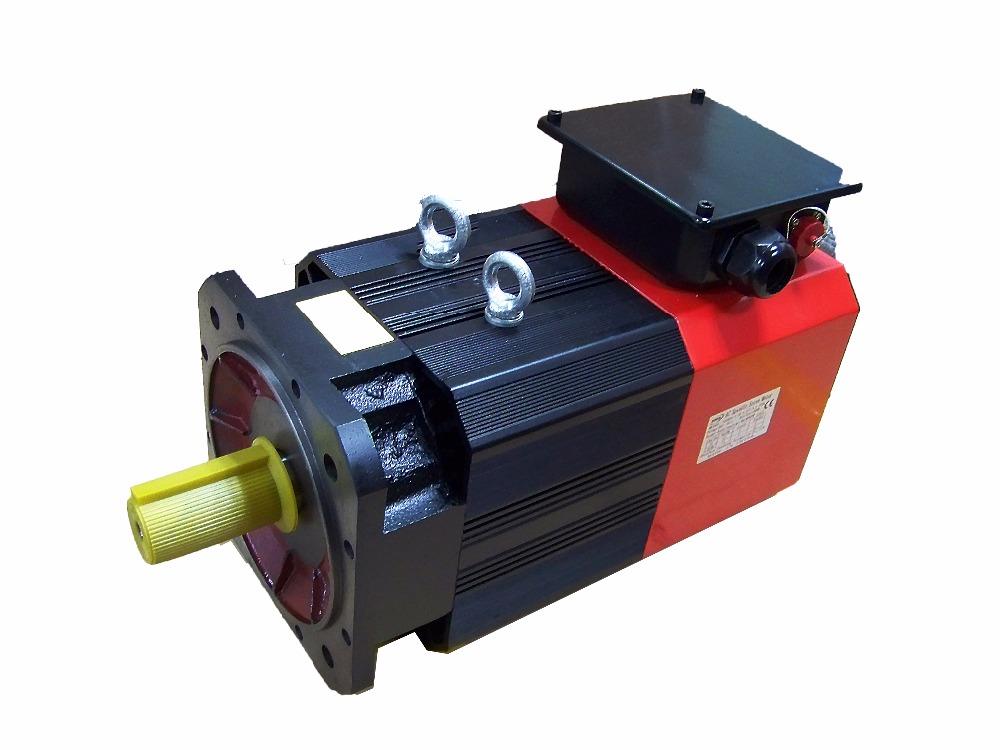 Motore Servo Professionale da  - Servo Motor recensione e prezzo